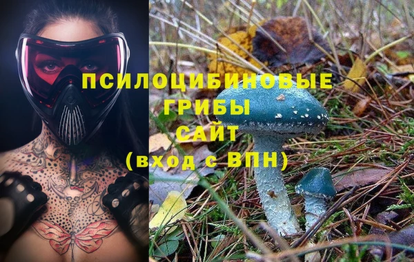 mdpv Осинники