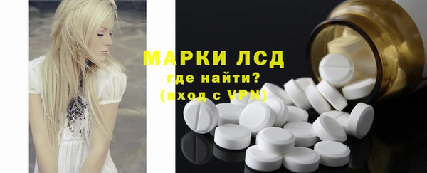 стафф Осташков