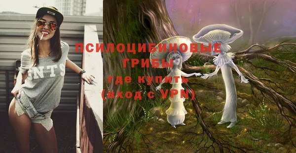 соль ск Болохово