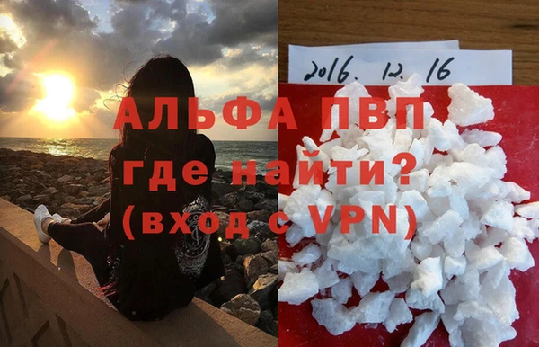 стафф Осташков