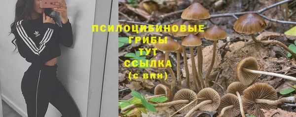 стафф Осташков