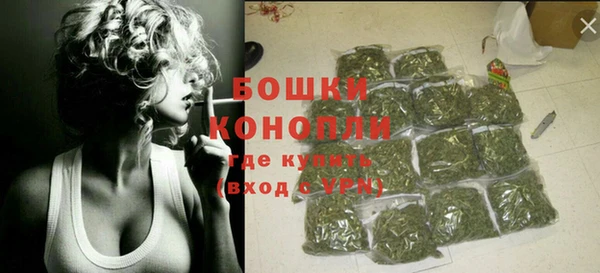 стафф Осташков