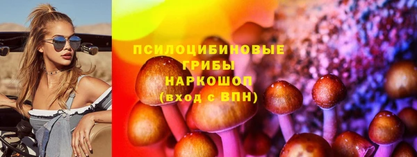молекула духа Нязепетровск
