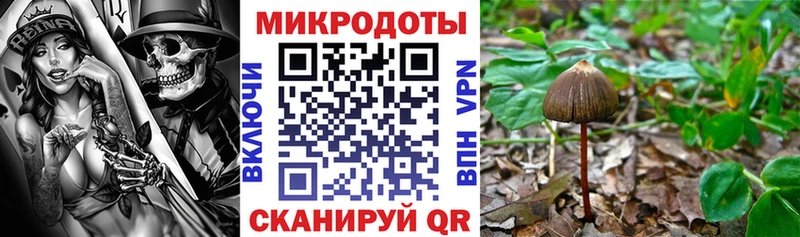 Псилоцибиновые грибы Cubensis  Шацк 